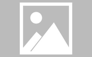 定州网页优化和设计人才（网站优化职位）